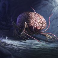 ST14. Brains at the Brewery