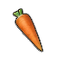 Carrot