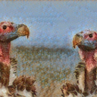 Lau and Lavie Brecht