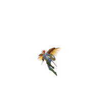 Sassafras Flashlashes