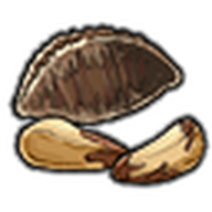 Brazil Nuts