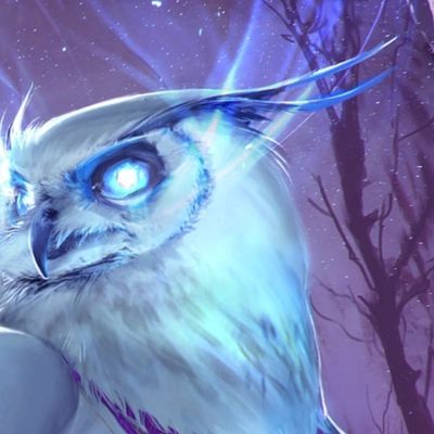 Chouette de Minerve header image