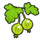 Gooseberries