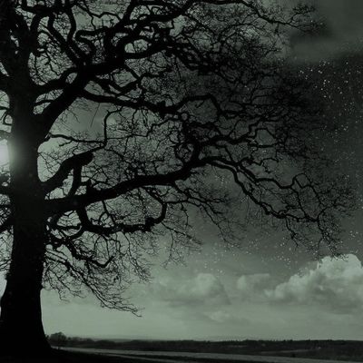 Eliot BOYD header image