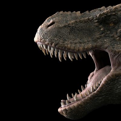 Rugissement du prédateur header image