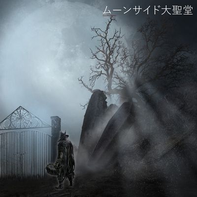 Caeldrim Qualanthri header image