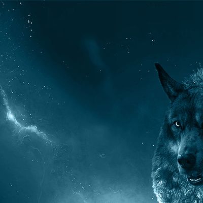 Seigneurs de l'Ombre header image