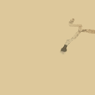 Heron/Silverwood Border