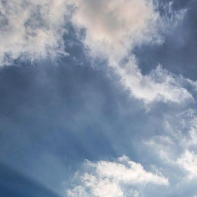 Renata De Castillo header image