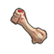 Bone