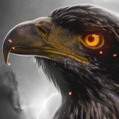 Œil du faucon header image