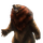 Dire Bear