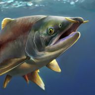 Brionogen (Giant Salmon)