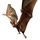 Giant Bat