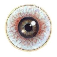 Gyronna, die Königin der Hexen