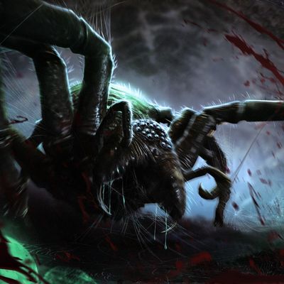 Taille Illusoire header image