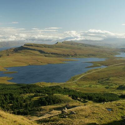 Freya Lockhart header image