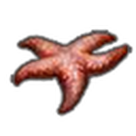 Starfish