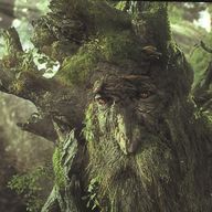 Treebeard