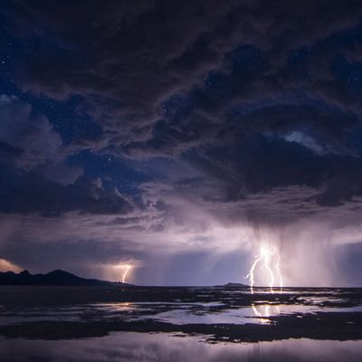 Dhovos Syn Priboya header image