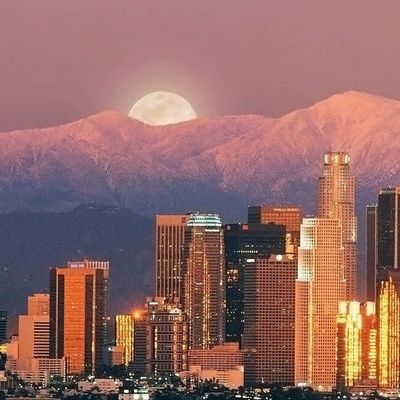 Meute du Syndicat d'Argent header image