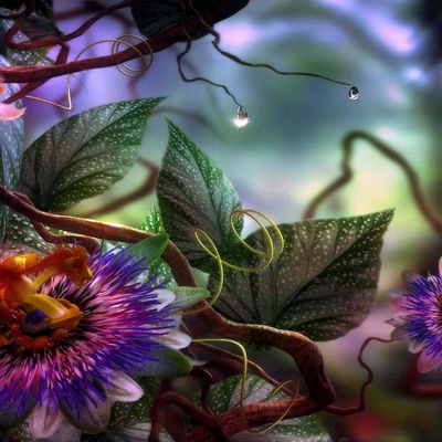 Eveil d'un Kami header image