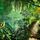 Jungles
