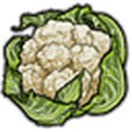 Cauliflower