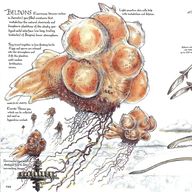 Flyer of the Wildlife of Cloud City