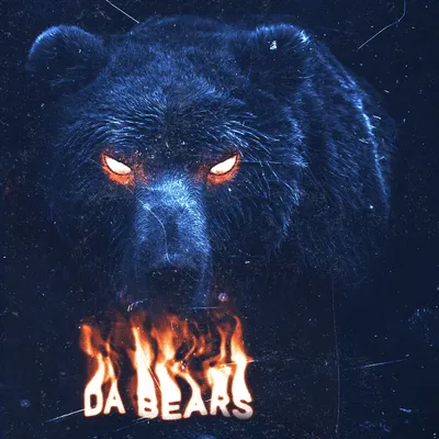 Vlast Shaïnenko header image