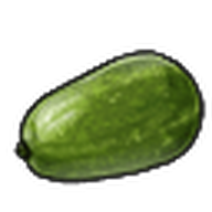 Wax Gourd