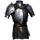 Dominus Plate Armor