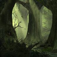 Aosmhor Wood