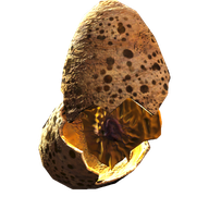 Cracked Deathclaw Egg
