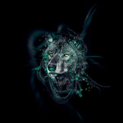 Odeur de l'eau courante header image