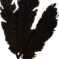 Hagraven Feathers