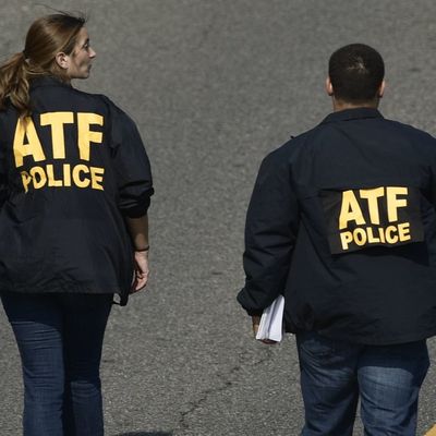 Siobhan Linden header image