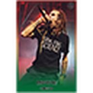 CAE - Randy Blythe - Lamb of God (Ashes of the Wake)