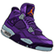 Air Jordan 4 Canyon Purple