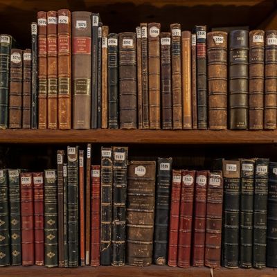 Adam Chambers header image