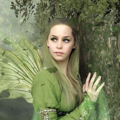 Fiannas header image