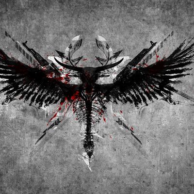 Ivan Zakharov "Ailes Noires" header image