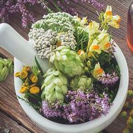 Herbalism Ingredient