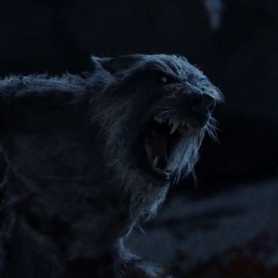 Résistance à la douleur header image