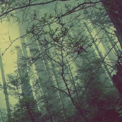 The Fysi Guild header image