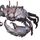 Crab