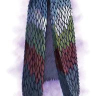 Cloak of Many Fashions