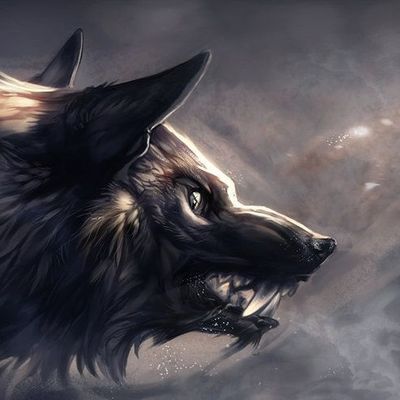 Les Kymars header image