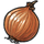 Onion
