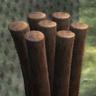 Ecorce de wiggentree